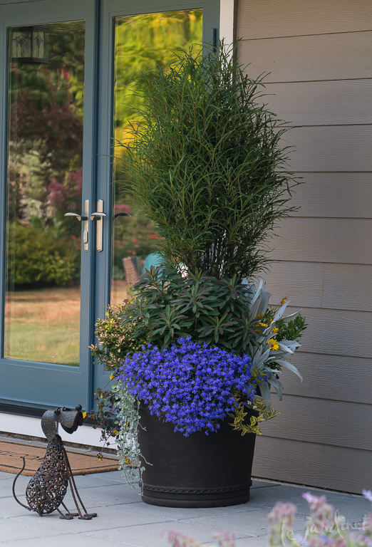 One of my deer resistant container designs featured in Country Gardens magazine, spring 2017