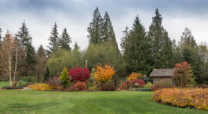 Lots of fall color from deer-resistant trees, shrubs and perennials