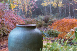 Tall, rustic blue-green vessel acts as a focal point in a fall woodland garden