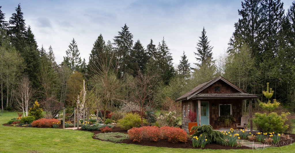 Using a cabin as a focal point in a large island border of deer-resistant plants