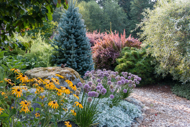 Deerresistant border of conifers, trees, shrubs, perennials and bulbs