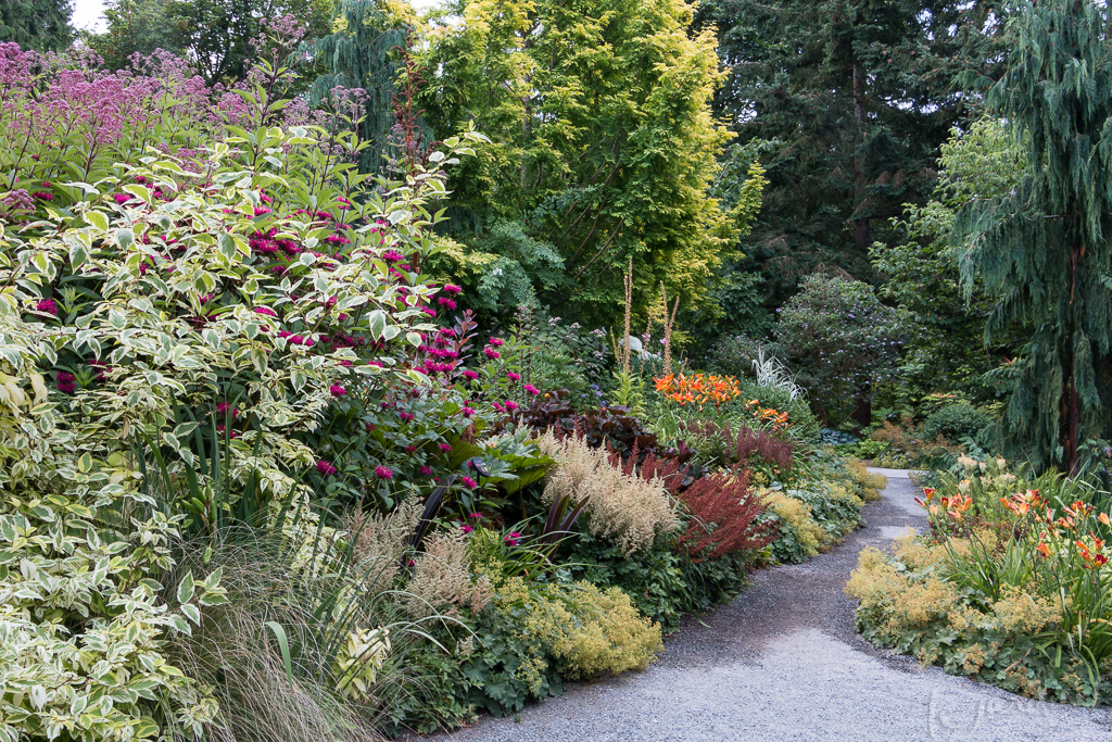 Perennial Border, Bellevue Botanical Garden