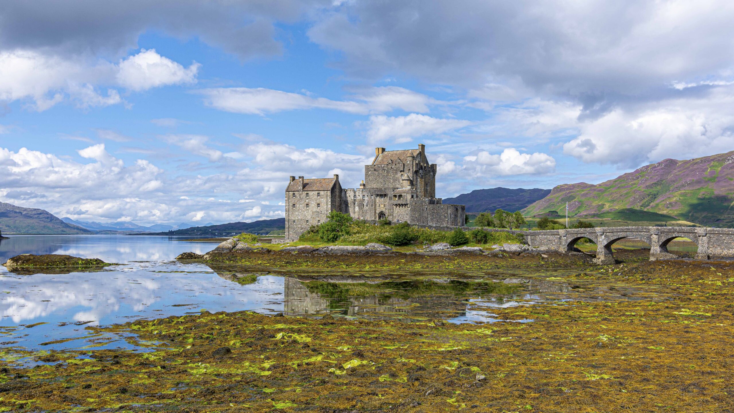 dkean271-scottish-castle-7361042